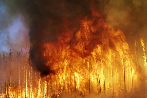 שופכים שמן על המדורה