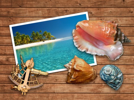 על דגים וקונכיות