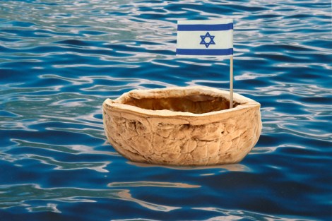 כמו קליפת אגוז על המים